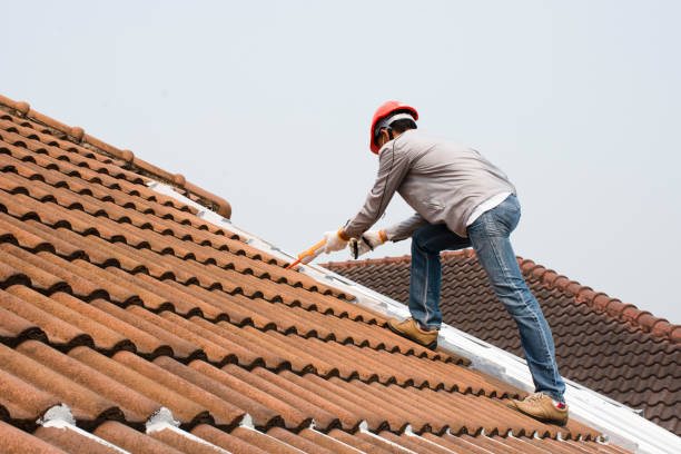 Best Hot Roofs  in La Follette, TN
